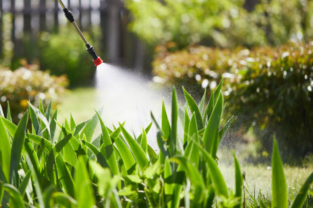 24/7 Emergency Mosquito Control experts in Highland, UT